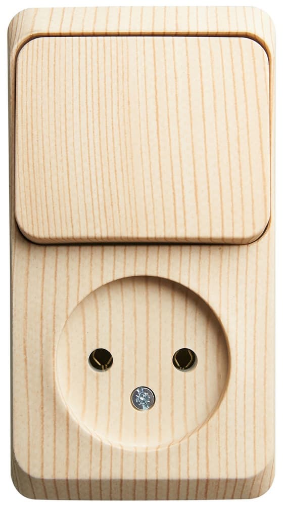 Блок Schneider Electric ЭТЮД розетка/1-клав. выкл. О/У 16А/10A 250В СОСНА