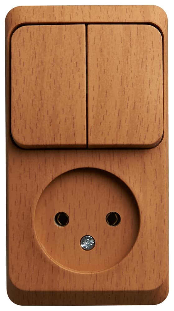 Блок Schneider Electric ЭТЮД розетка/2-клав. выкл. О/У 16А/10A 250В БУК