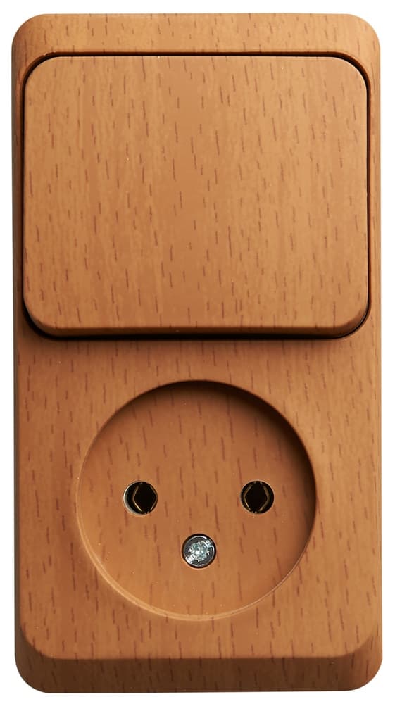 Блок Schneider Electric ЭТЮД розетка/1-клав. выкл. О/У 16А/10A 250В БУК