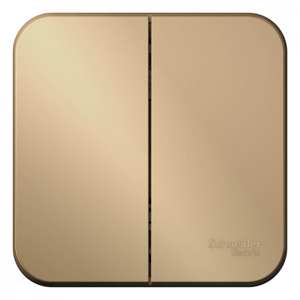Выключатель Schneider Electric BLANCA 2х-клав. О/У с 10А/250B ТИТАН