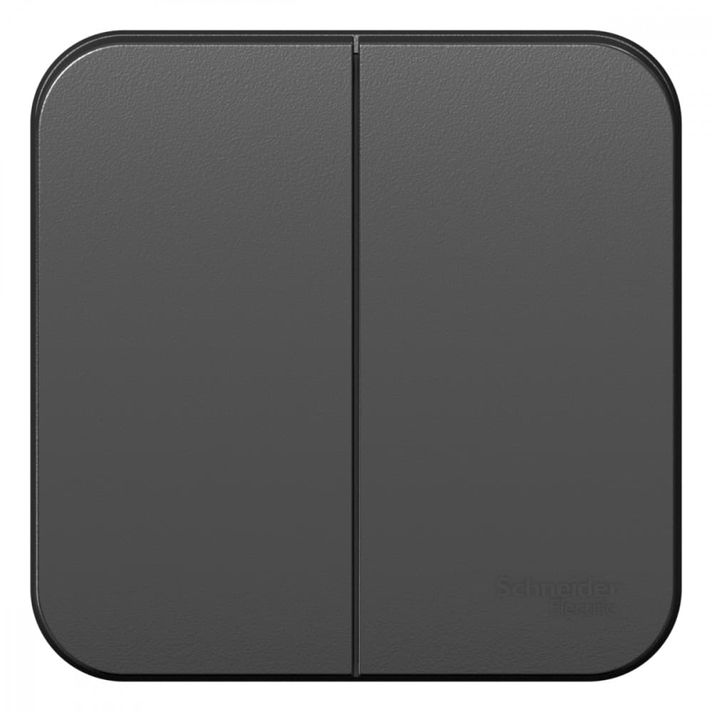 Выключатель Schneider Electric BLANCA 2х-клав. О/У с 10А/250B АНТРАЦИТ